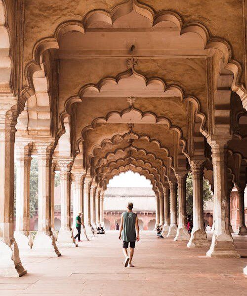 pexels photo 8112512