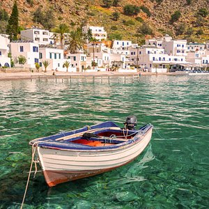 default avatar 2020 40