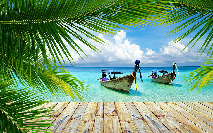 nature landscape beach tropical wallpaper preview